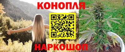 гидра Ипатово
